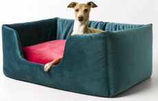 Charley Chau Deeply Dishy Dog Bed in Velour