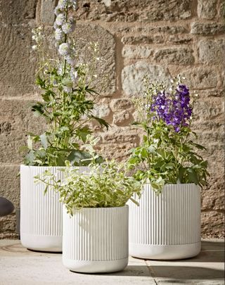 Garden trends: Cox & Cox plant containers