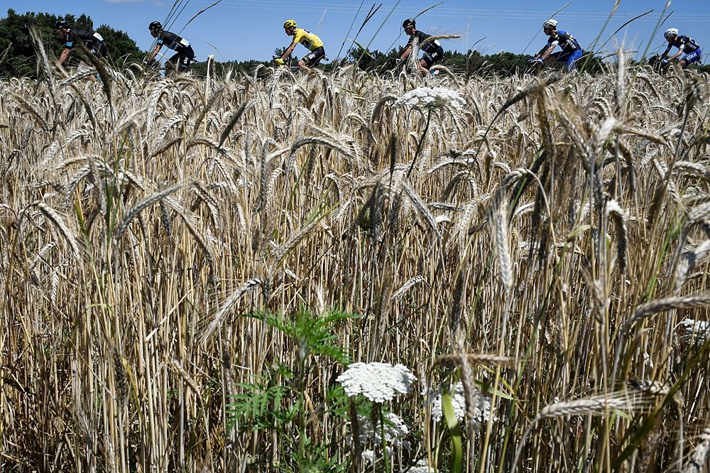 Yellow jersey Chris Froome (Team Sky)