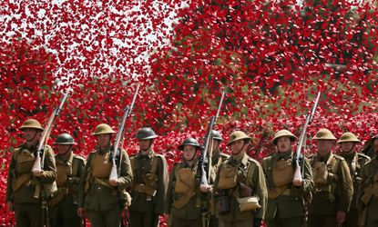 Poppies