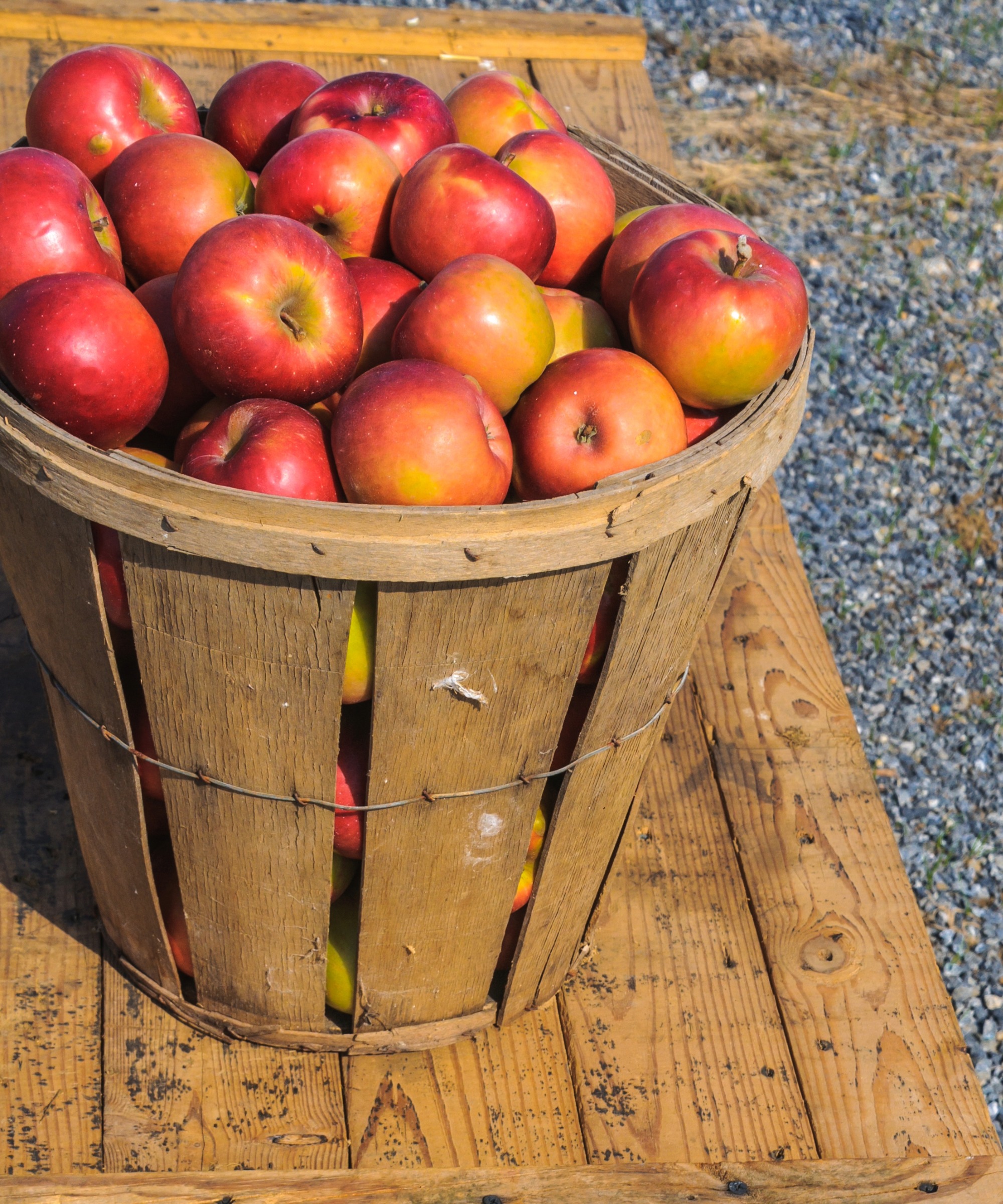 Heirloom apples winesap apples in basket