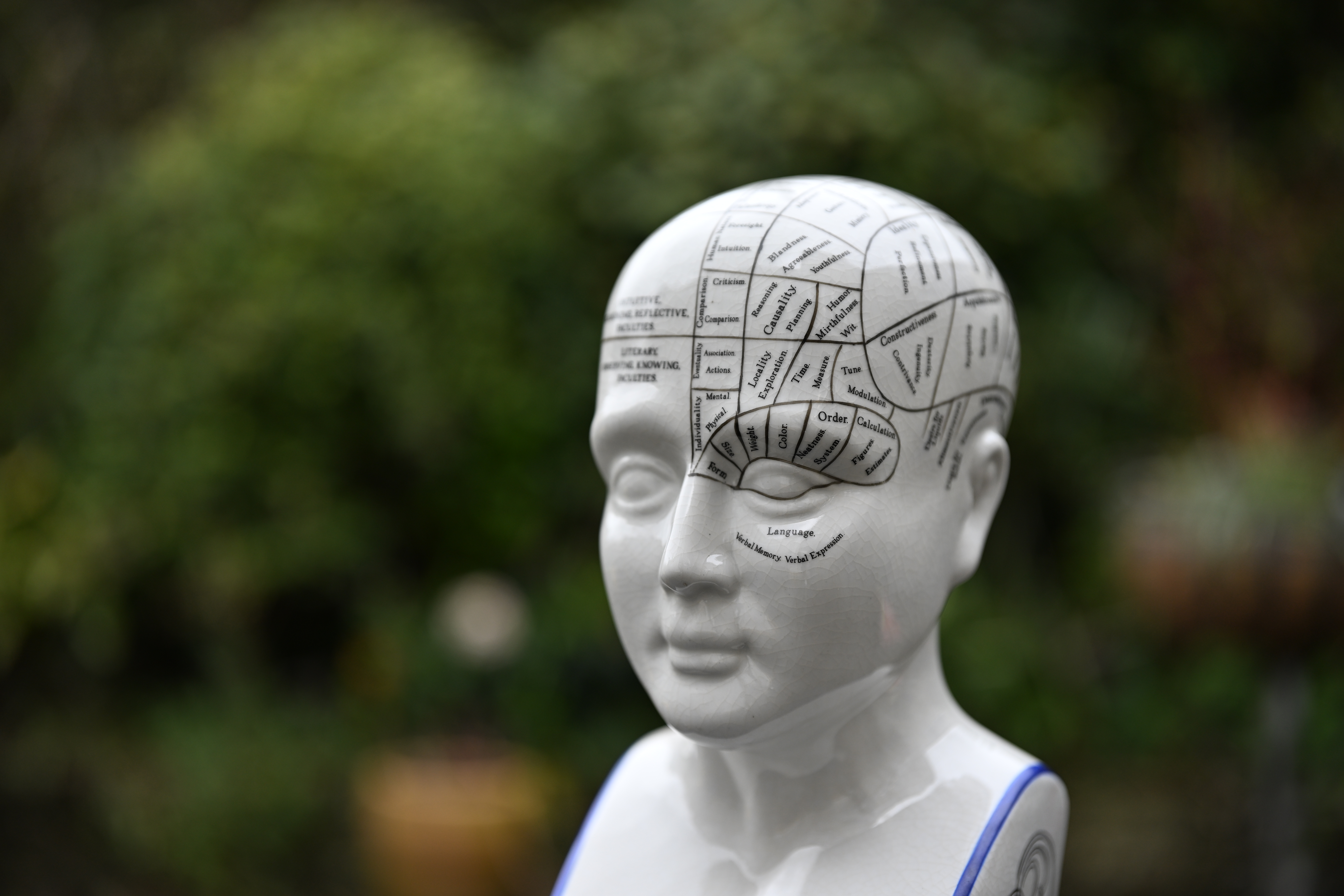 Viltrox AF 55mm f/1.8 Evo sample image