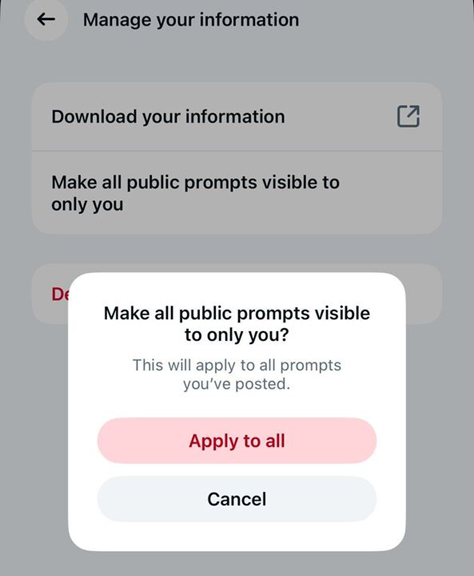 Meta AI Privacy