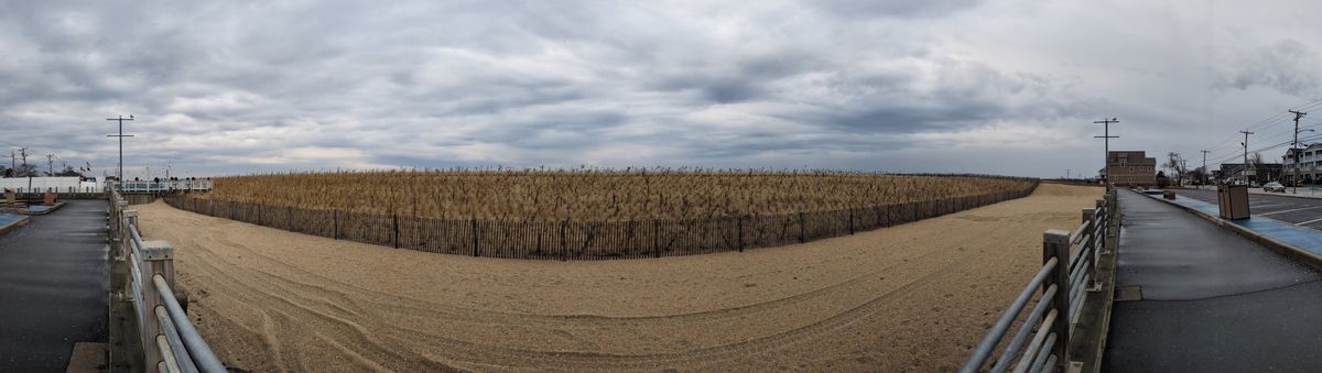 Google Pixel 8a panorama sample.