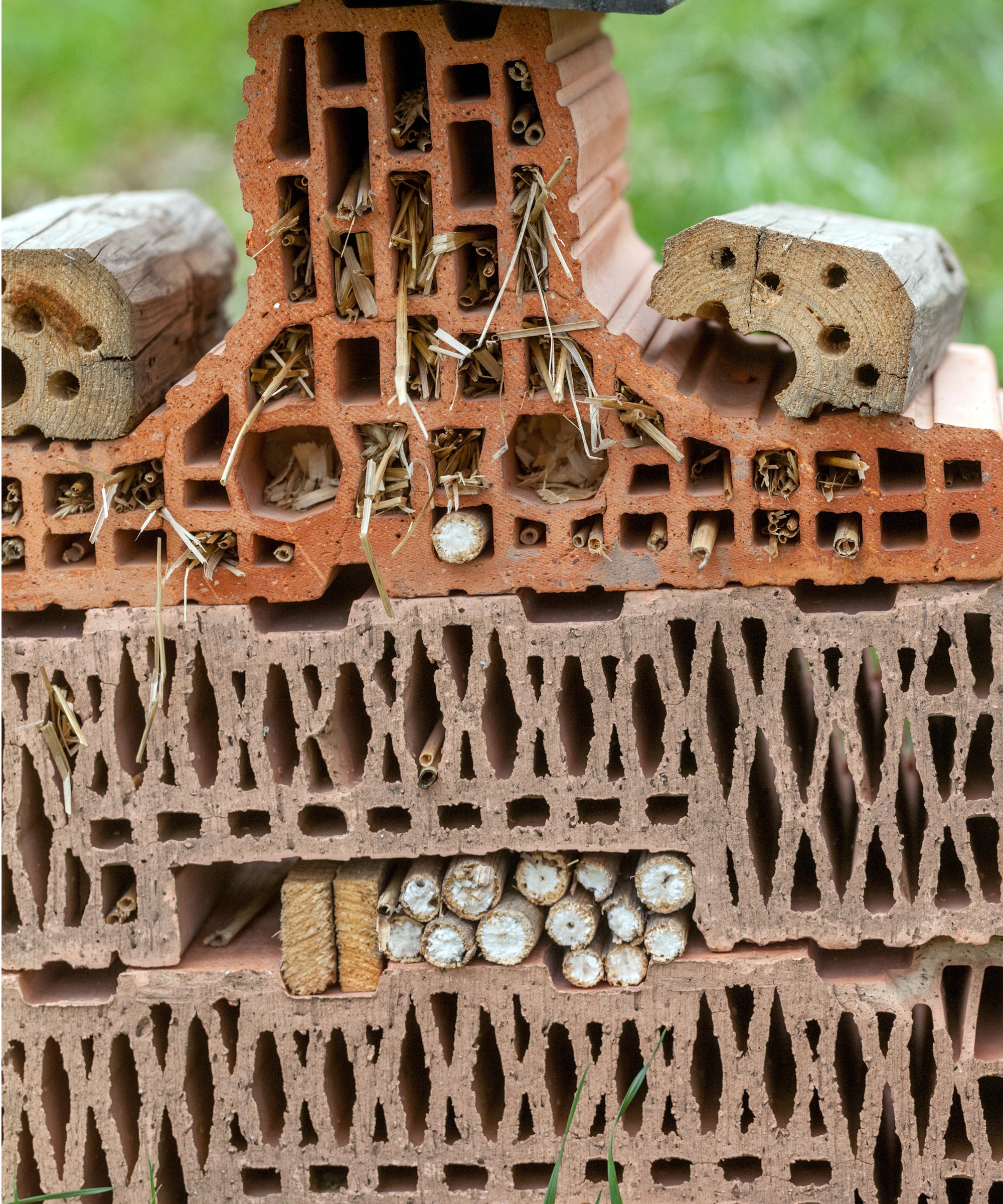 Bee bricks