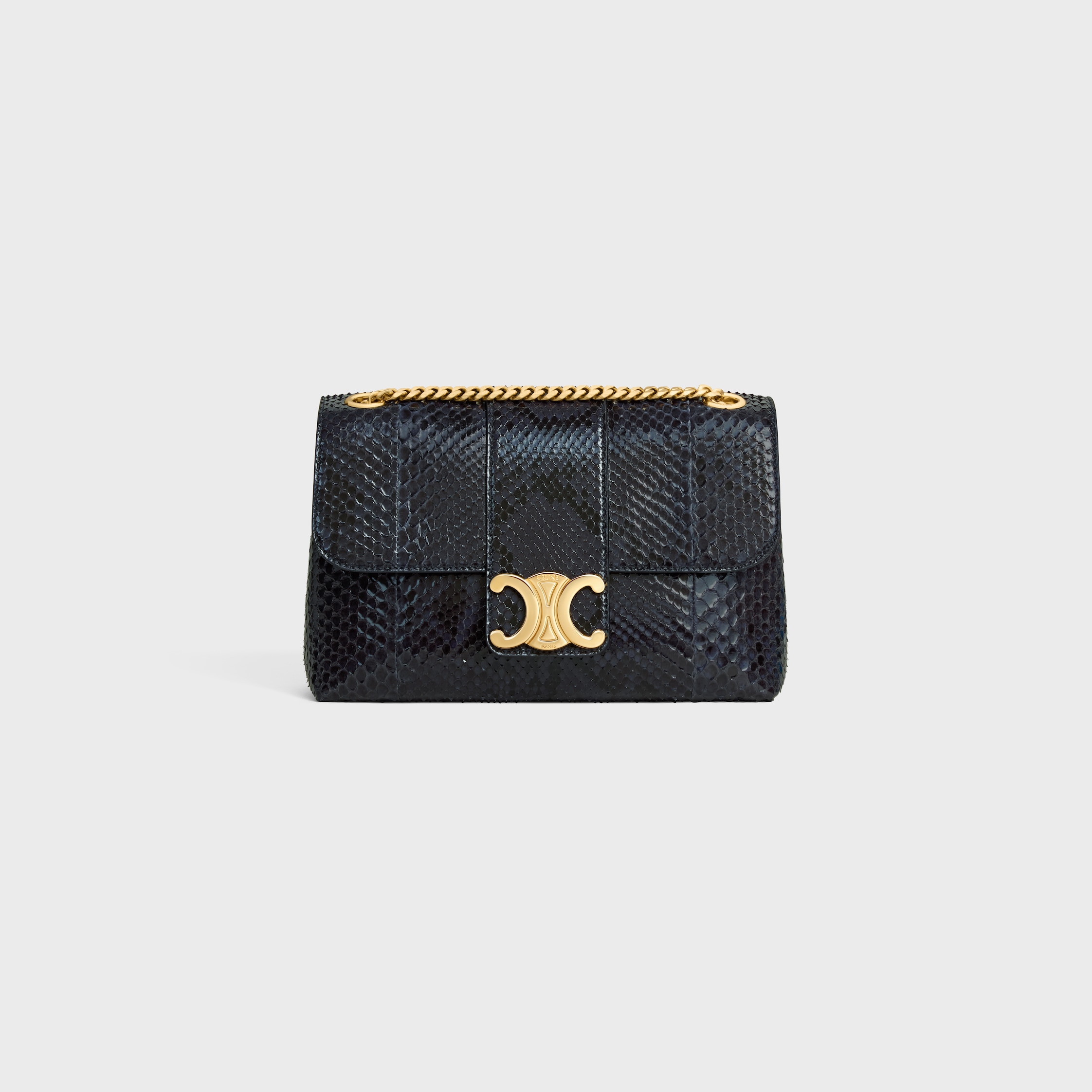 Medium Celine Victoire Bag in Python