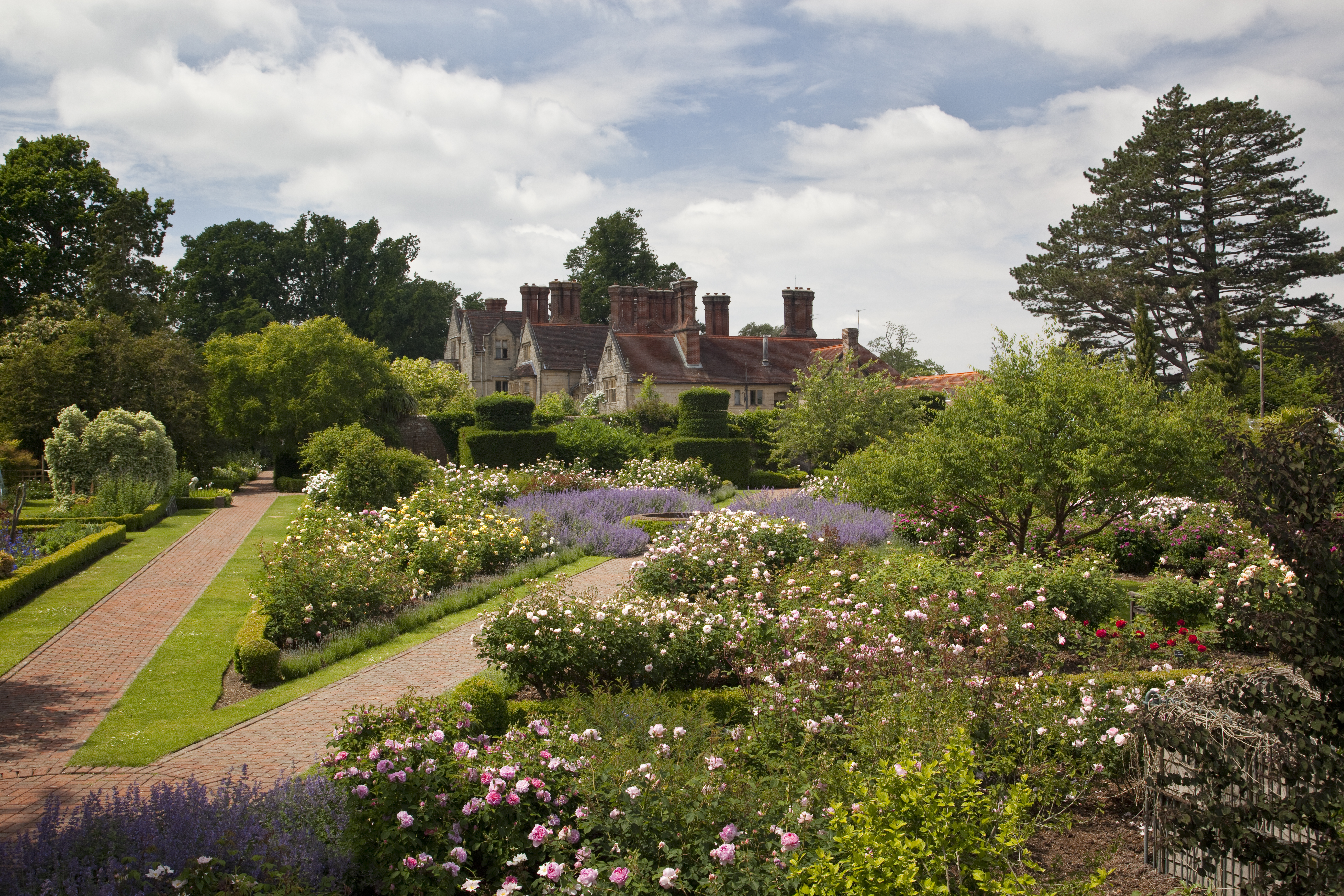 Rose borders at Borde Hill