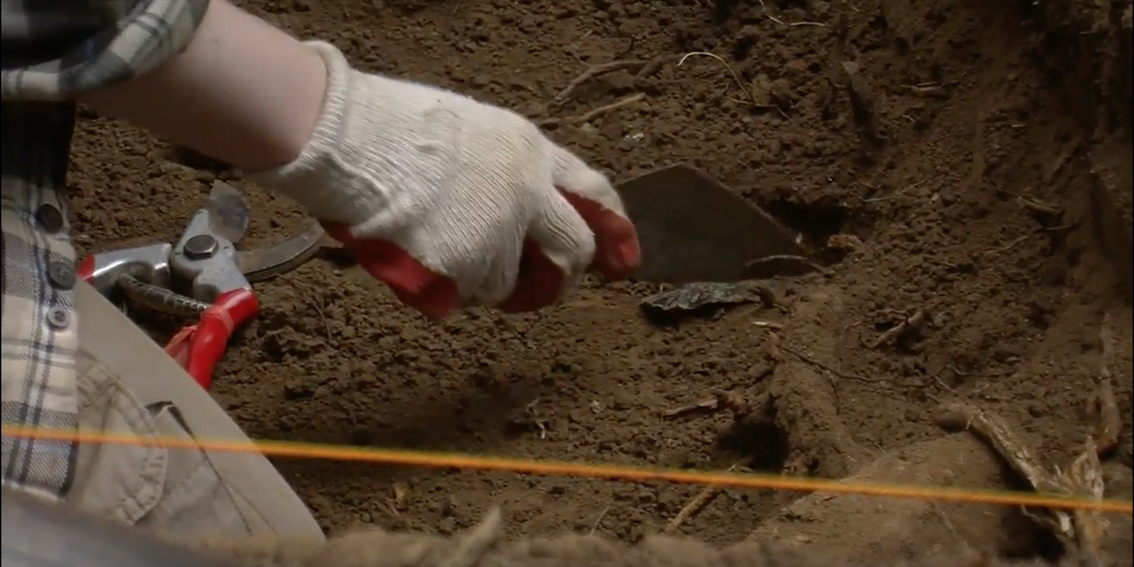 A man in Oregon discovered ancient obsidian axes in his backyard. 