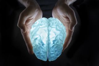 3D printed brain