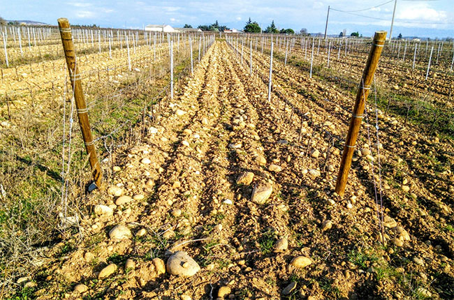 crozes, chassis, jefford