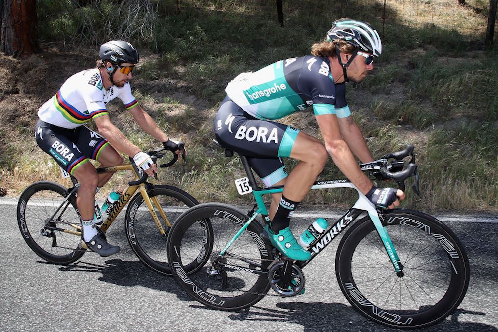 Daniel Oss shepherds Bora-Hansgrohe leader Peter Sagan through the stage