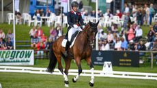 Bramham Horse Trials dressage Izzy Taylor Monkeying Around