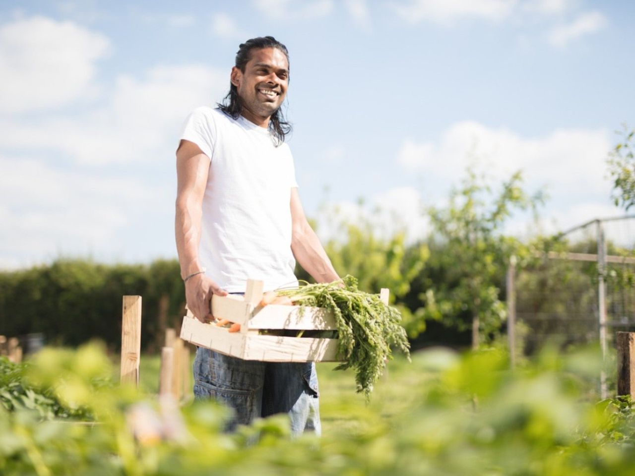 Person In The Garden With A Box Of Vegetables