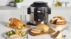 Ninja Foodi 11-in-1 SmartLid Multi-Cooker review