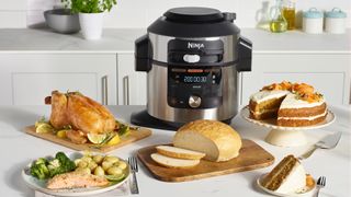 Ninja Foodi 11-in-1 SmartLid Multi-Cooker review