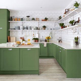 kitchen with green colour and crockery and potted plants