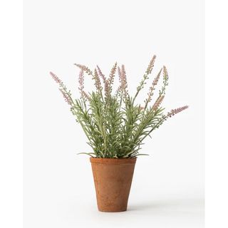 faux lavender plant in terracotta pot