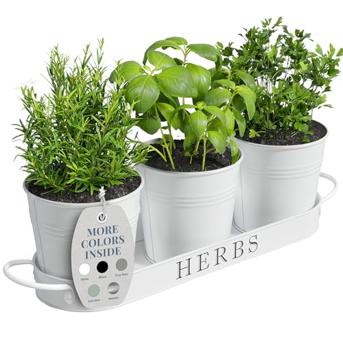 Barnyard Designs Indoor Herb Garden Planter Set With Tray, Metal Windowsill Plant Pots With Drainage for Outdoor or Indoor Plants, Set/3 (white)