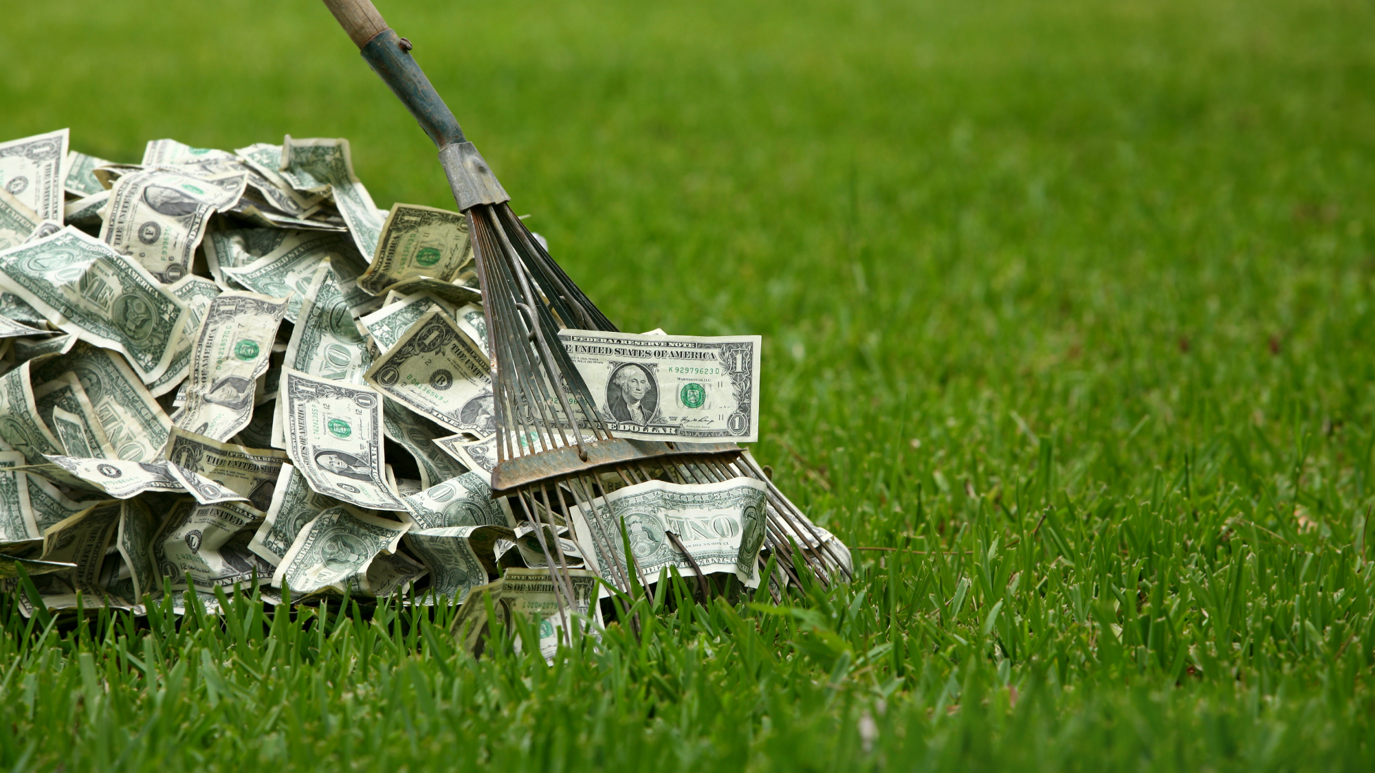 raking in the dough on a lawn with dollar notes