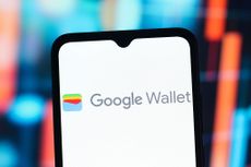 Google Wallet logo is seen displayed on a smartphone screen.