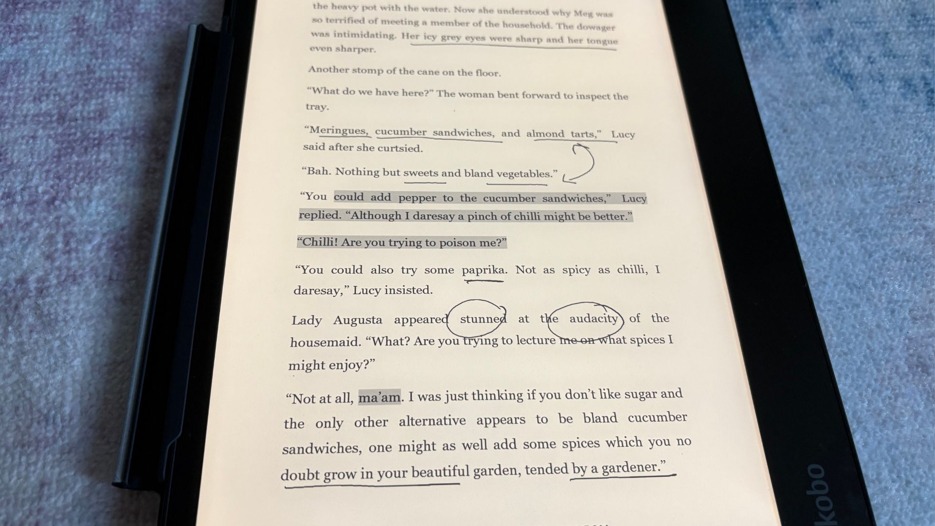 Reading on the Kobo Elipsa 2E