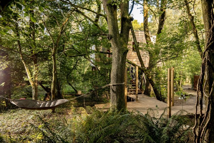 Mallinson's Woodland Retreat