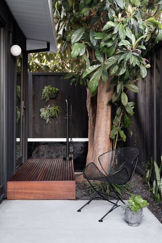 an outdoor shower by a large tree