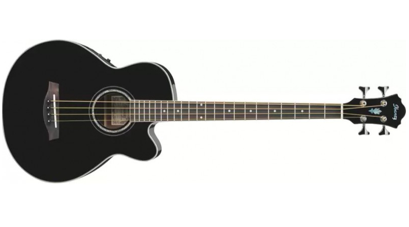 Best gifts for bass players: Ibanez AEB5E Acoustic-Electric Bass