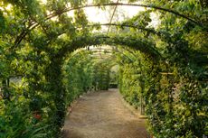 The garden at Banks Fee, Gloucestershire