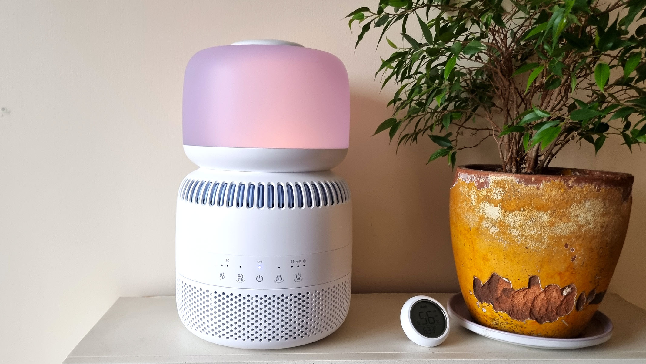 a picture of the Levoit Sprout Evaporative Humidifier sitting on a shelf next to a houseplant and a humidity meter