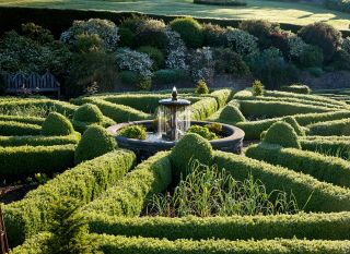 Walled garden Photograph: Paul Highnam/Country Life Picture Library