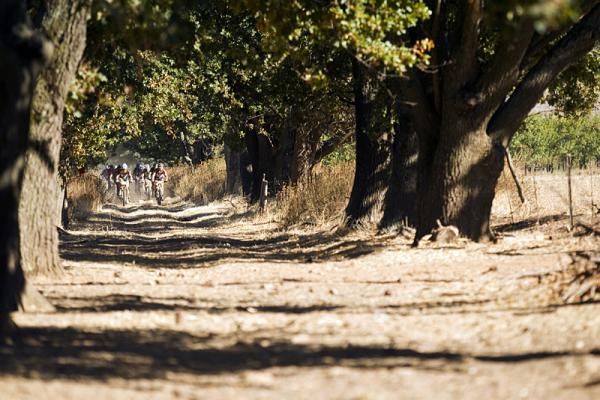 The lead bunch during stage 2