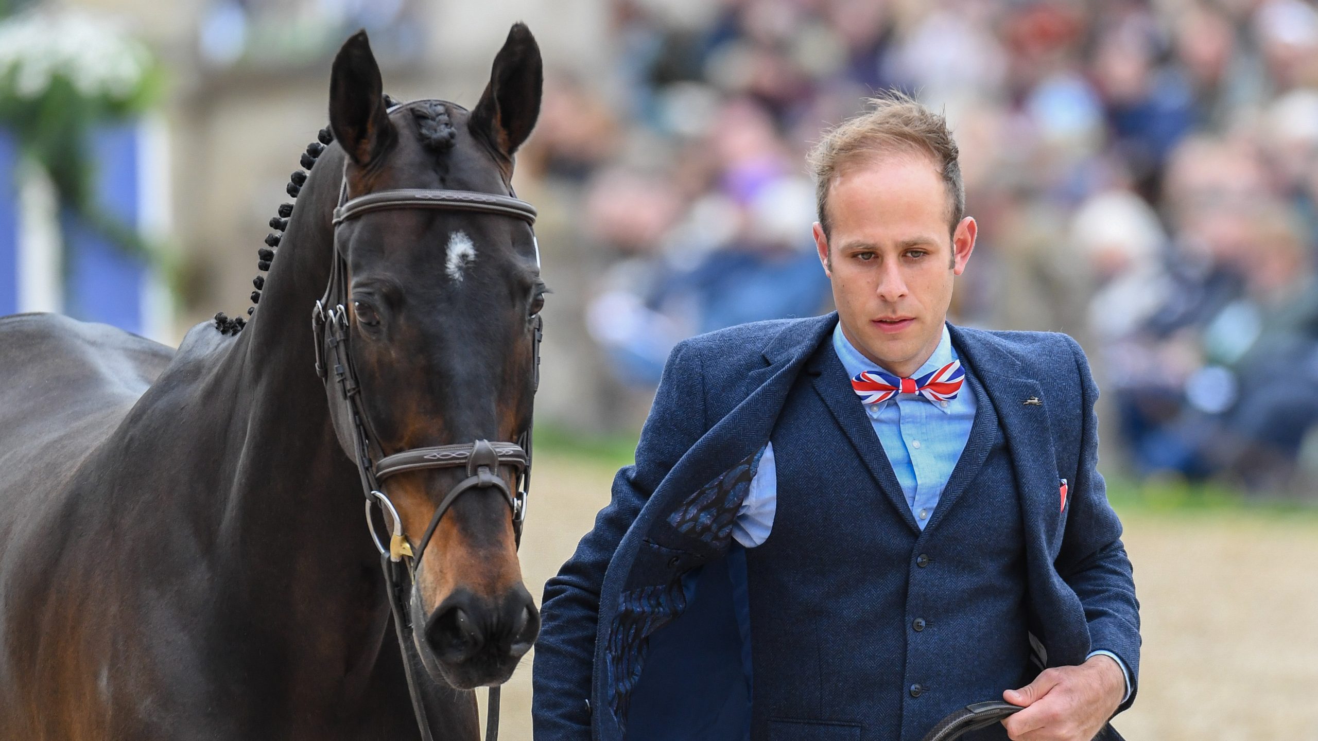 Badminton horse trials trot-up