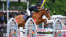 TB-SallyGoding_SpringWilow_RWHS_PN22_21893.jpg