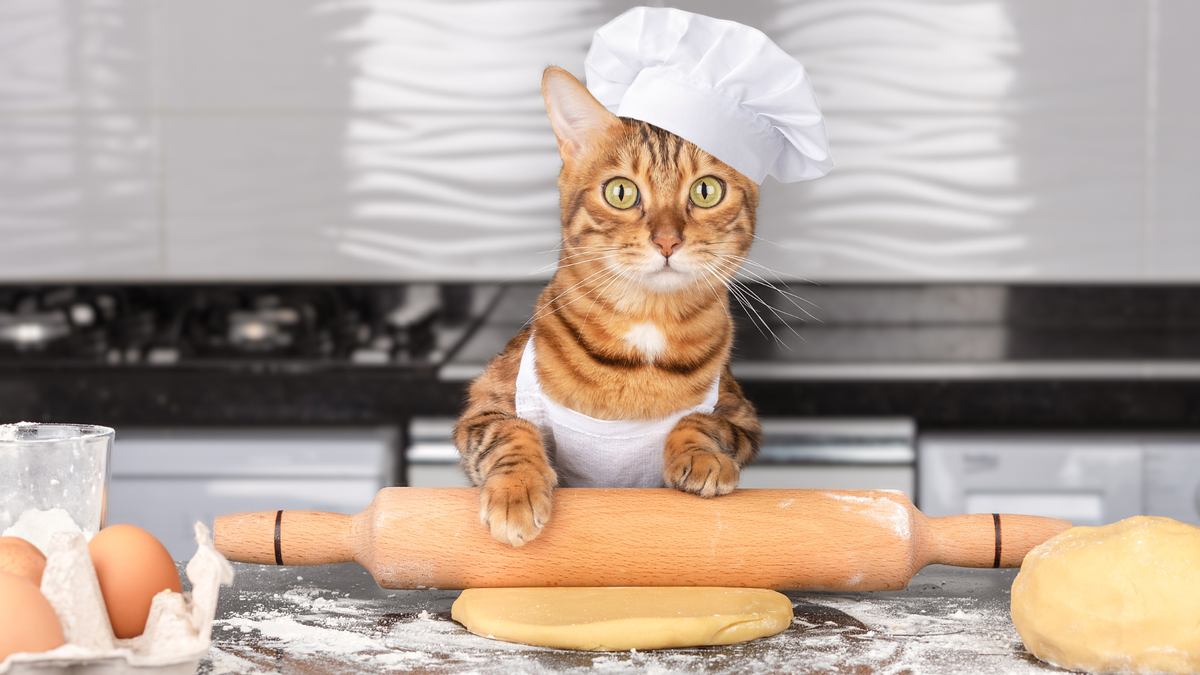 Ginger cat wearing a baking hat and rolling dough in the kitchen for homemade cat treats