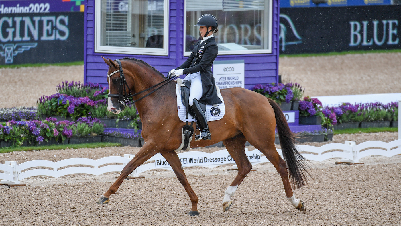 New Zealand&rsquo;s Melizza Galloway sits in 13th in the World Dressage Championships results on the second day of grand prix
