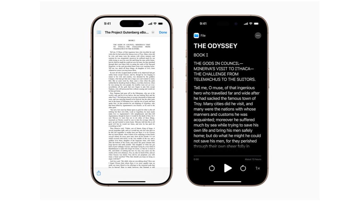 Accessibility Reader