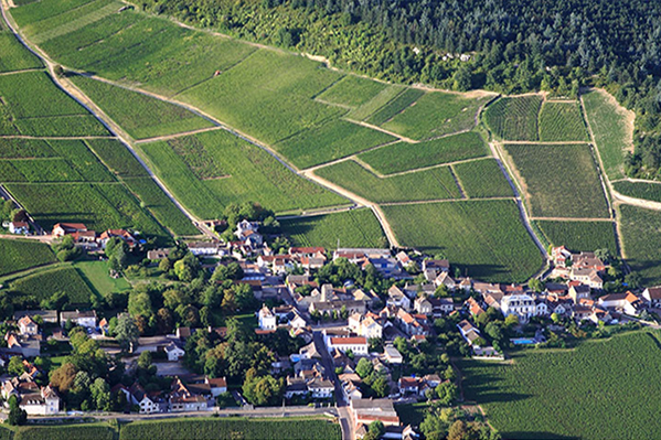Domaine-Bruno-Lorenzon.jpg