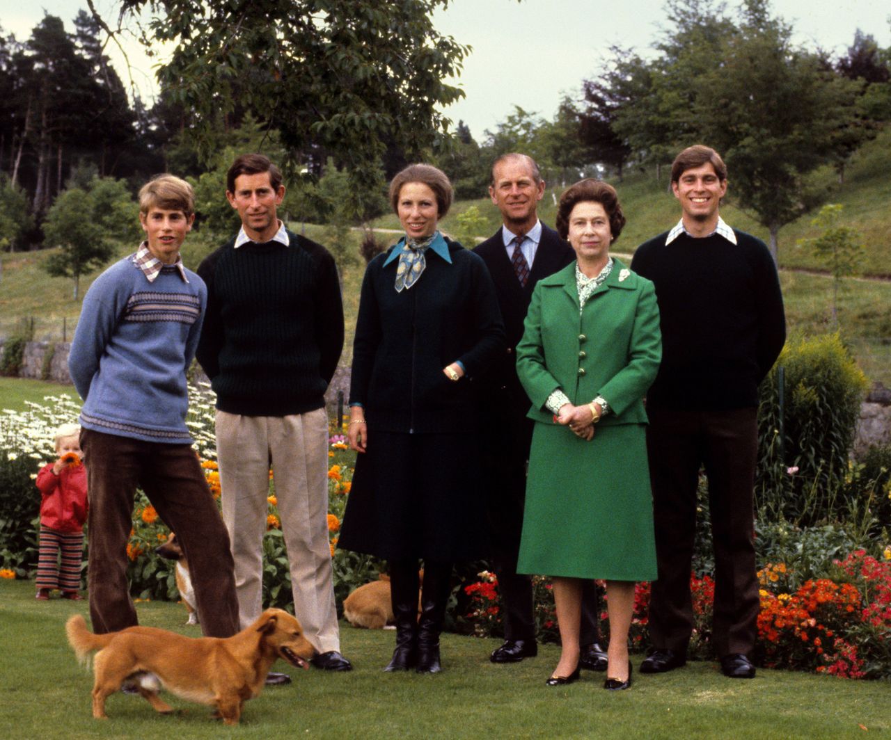 People, Canidae, Dog, Event, Sporting Group, Team, Family, Companion dog, Dog breed, Family taking photos together,
