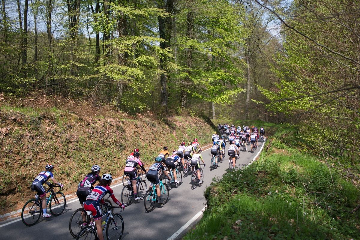 The peloton tackles a technical descent during the second, 110.1km road race stage of Elsy Jacobs