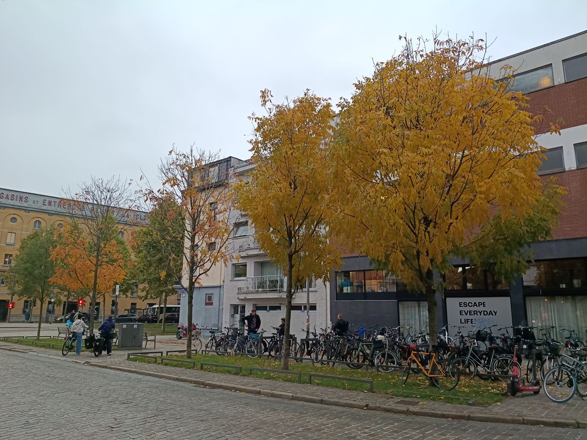 voorbeeldfoto motorola moto g56