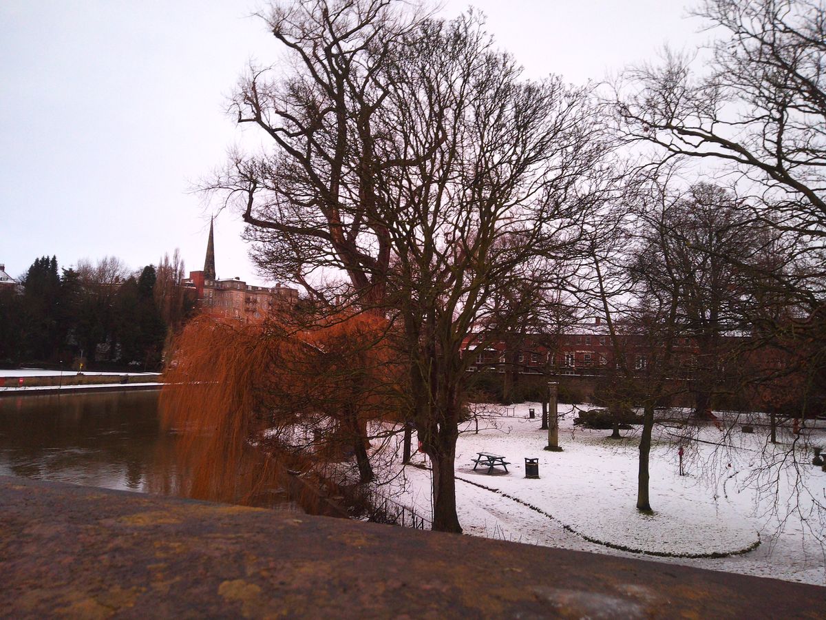 Images taken using the Camp Snap CS-Pro