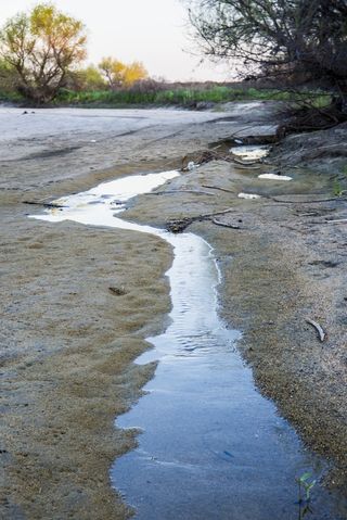 San Joaquin river drying
