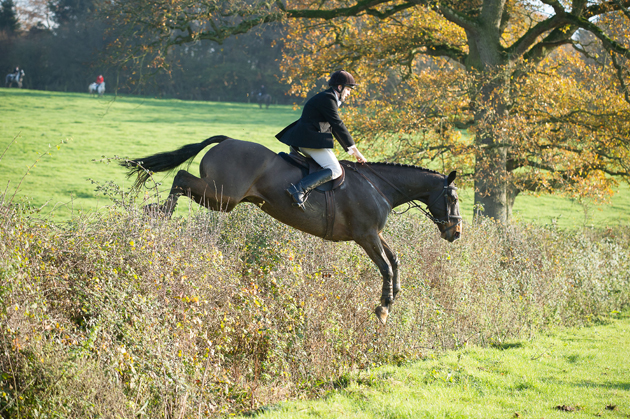Avon Vale Hunt 29 11 2014