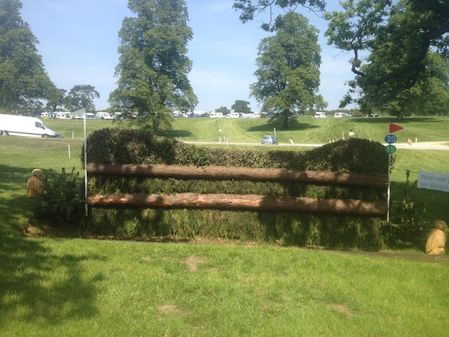 Bramham2015CCI20