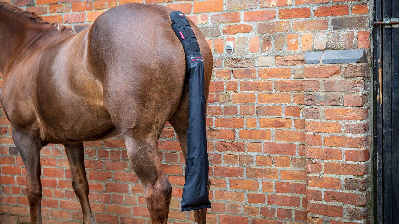 LeMieux tail guard with bag