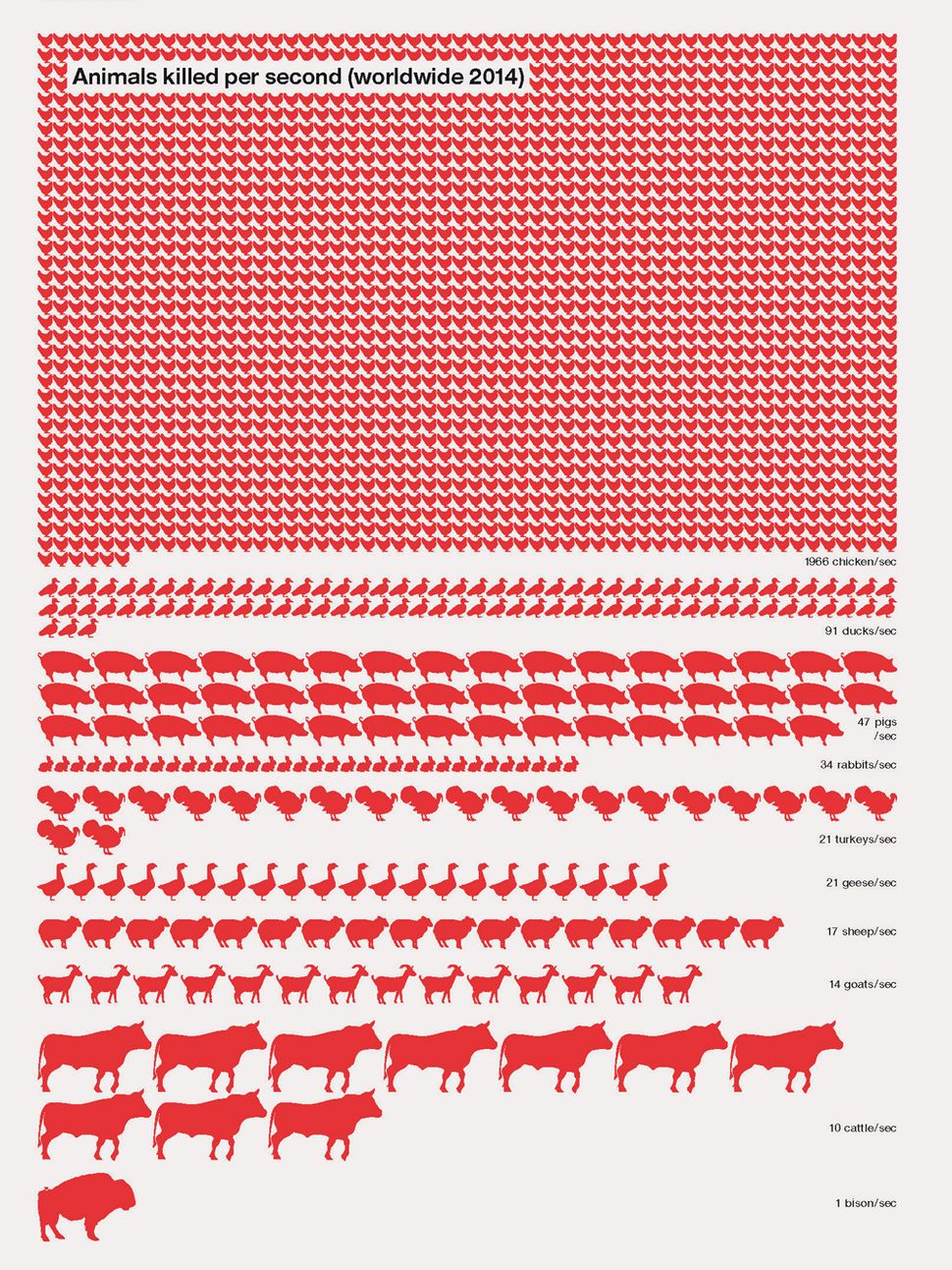 Serif vs. Sans: The Final Battle — Cool Infographics