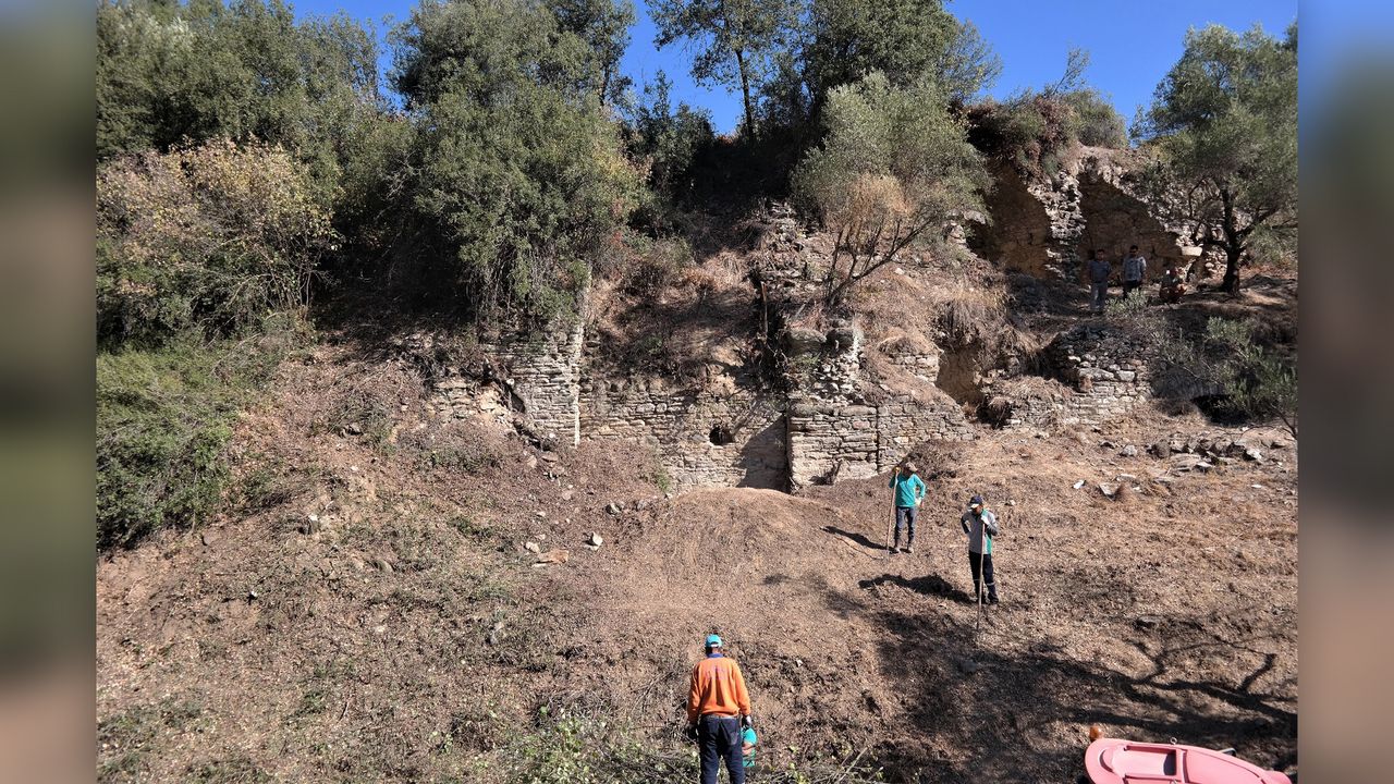Researchers clear the shrubs and trees around the Roman-era arena.