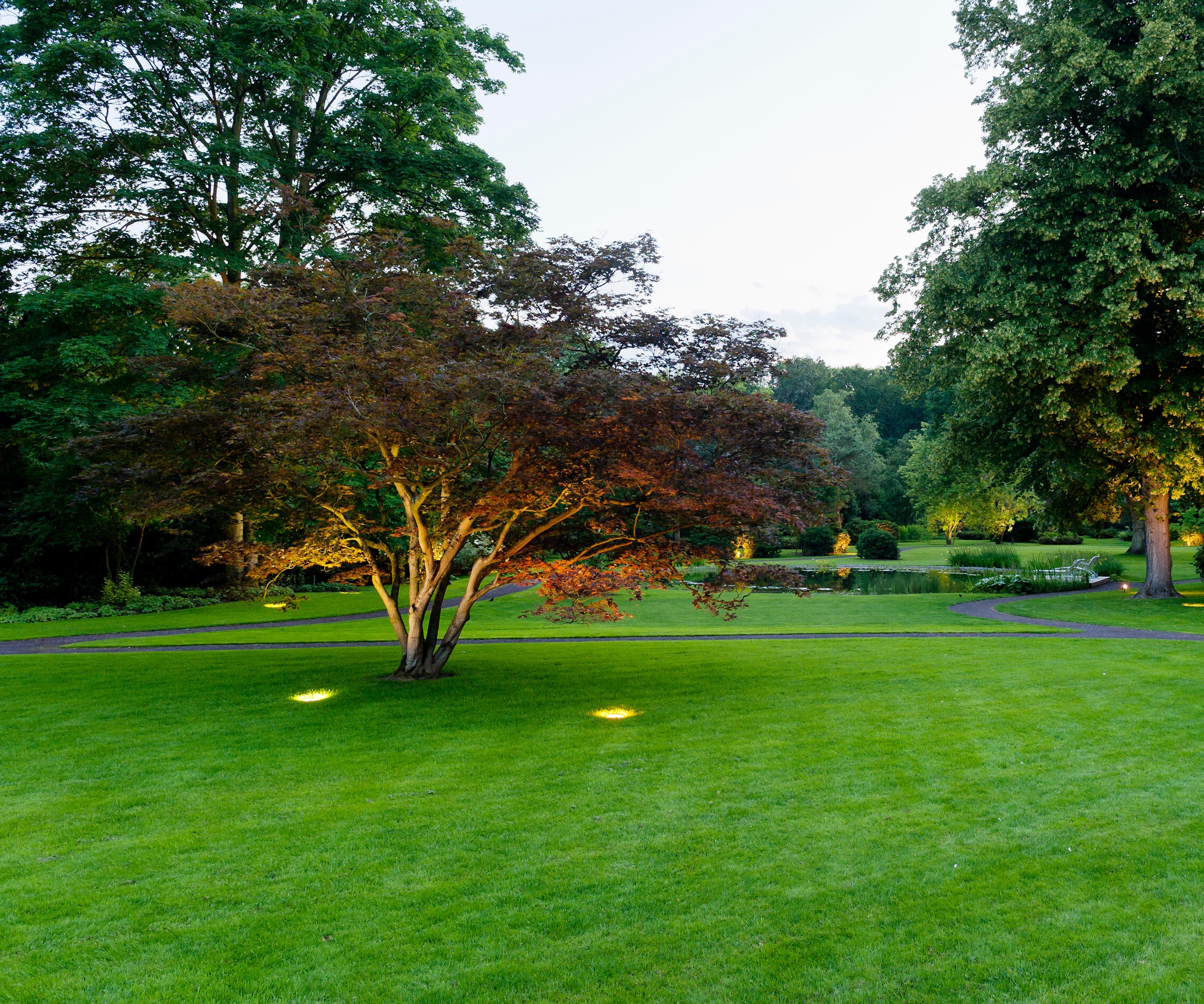 Uplighting for trees