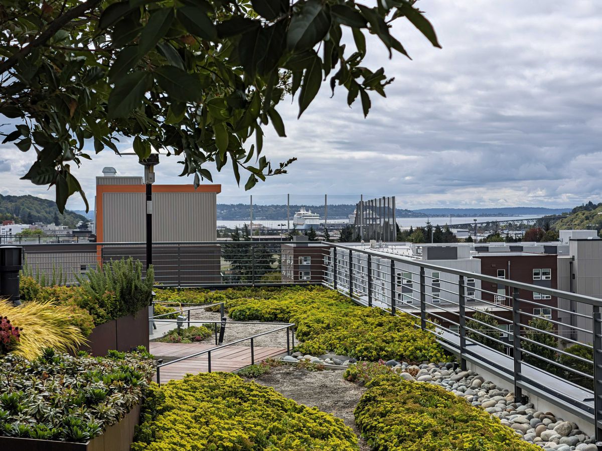 (2x) A rooftop with a cruise ship in the far background